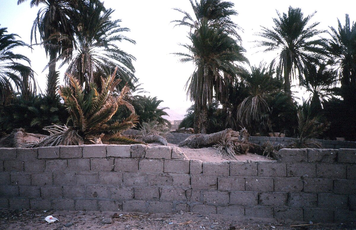 Freimaurer im Sinai