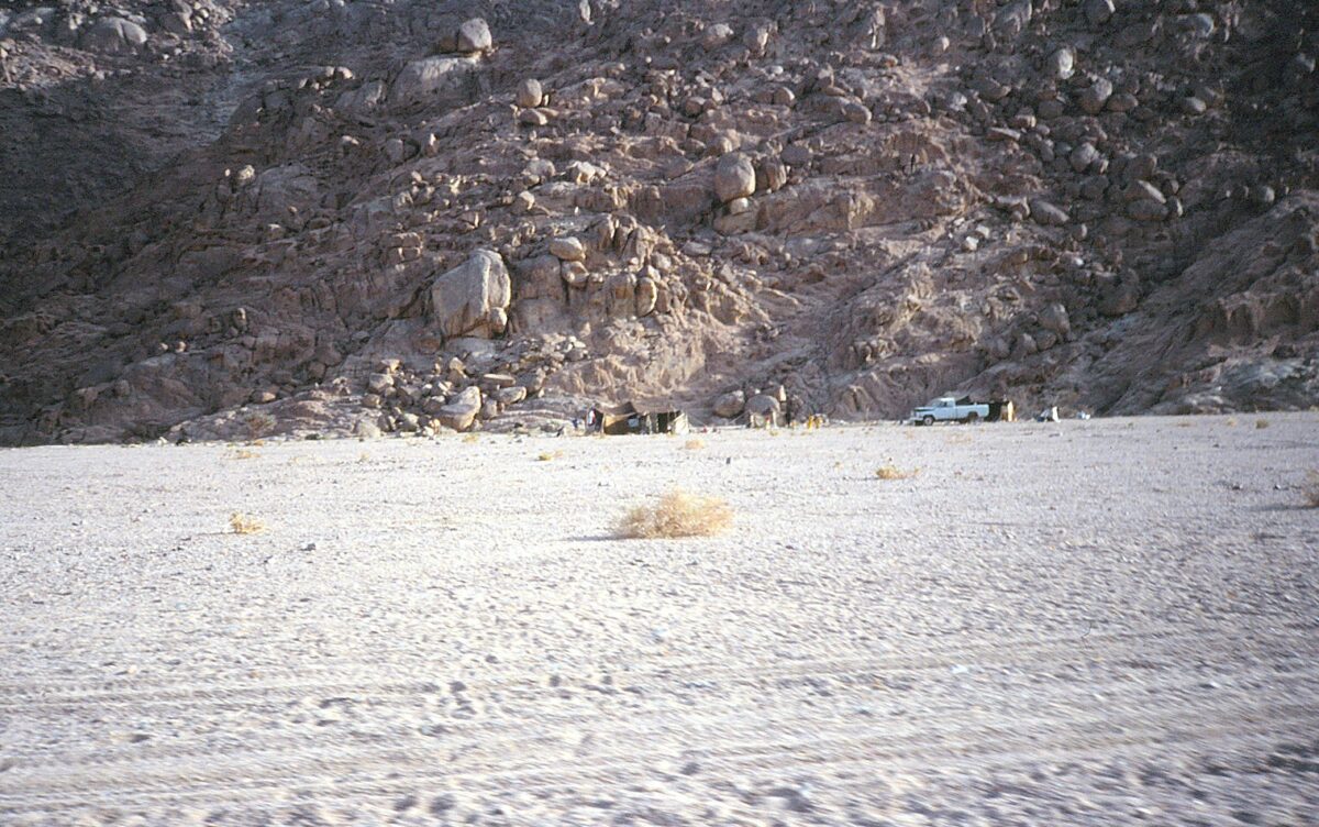 Sinai Treffpunkt Wadi