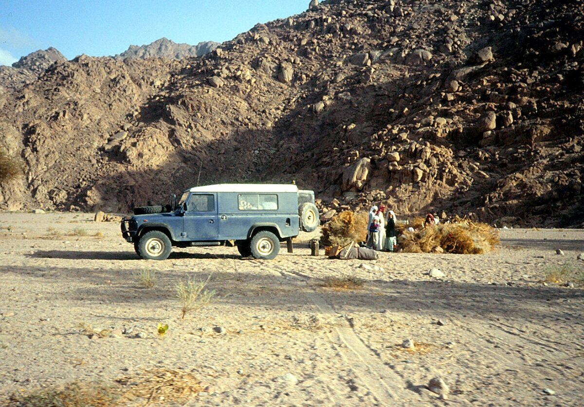 Steinwüste Sinai Jeep