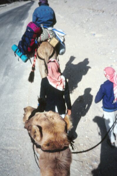 Beduinen Tour mit Kamelen