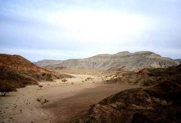 Blick ins Wadi