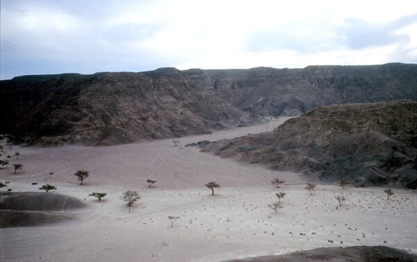 Wadi Sinai