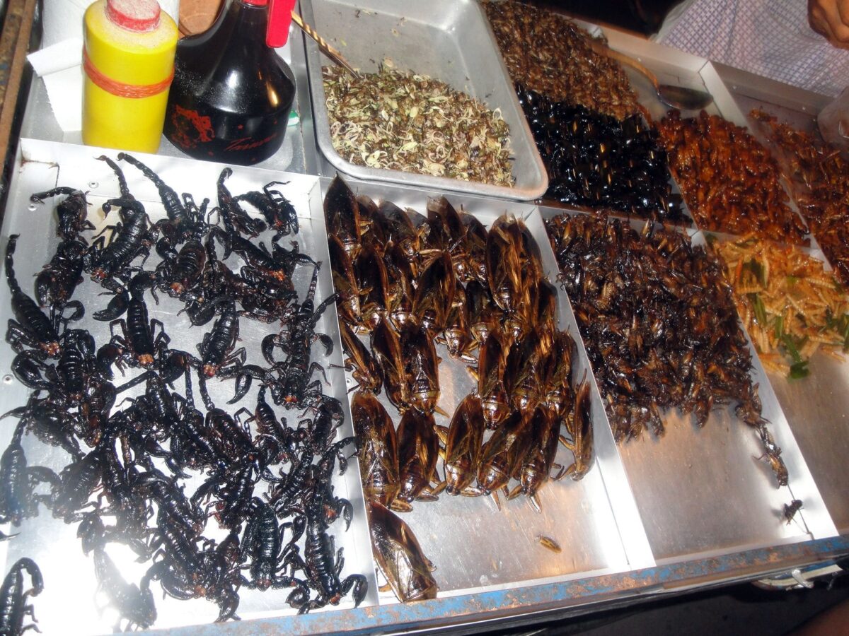 Thailand - Insekten essen